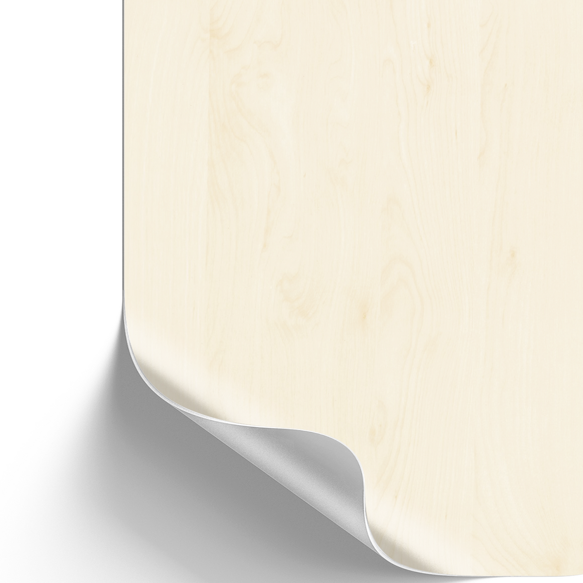 Birke I Möbelfolie in Holzoptik