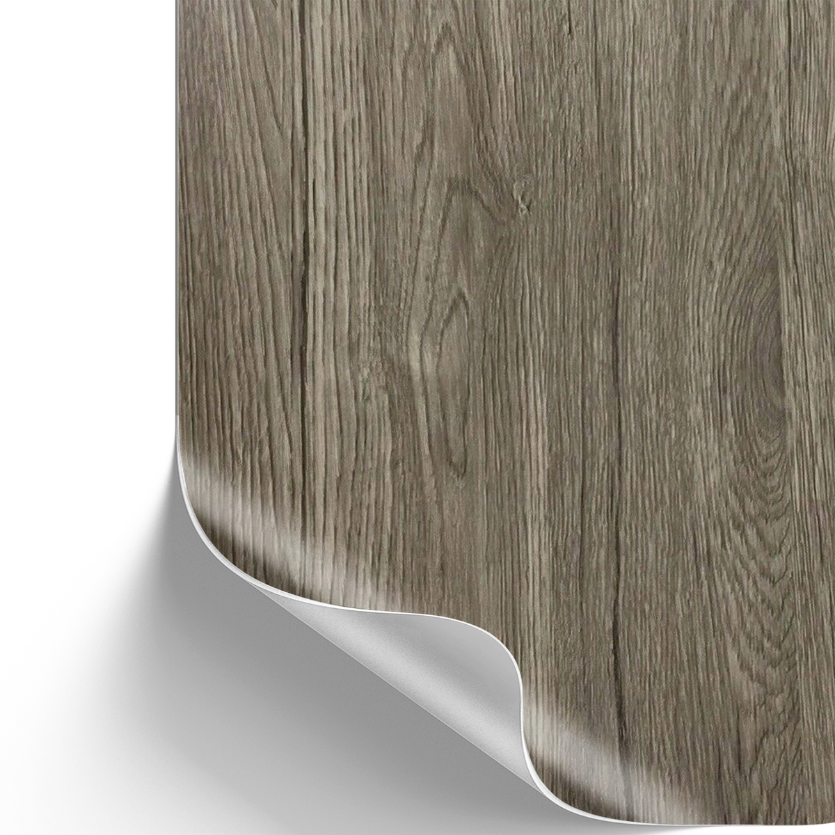 Sommereiche, hell I Möbelfolie in Holzoptik